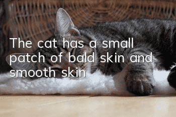 The cat has a small patch of bald skin and smooth skin