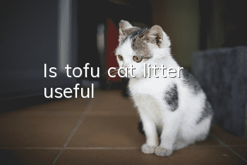 Is tofu cat litter useful?