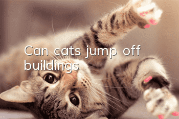 Can cats jump off buildings?