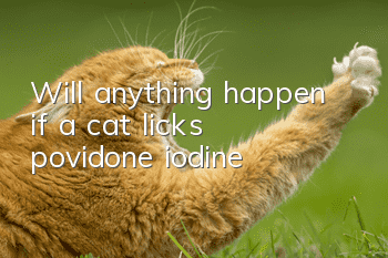 Will anything happen if a cat licks povidone iodine?