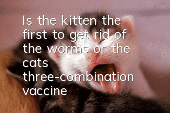 Is the kitten the first to get rid of the worms or the cat’s three-combination vaccine?