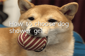 How to choose dog shower gel