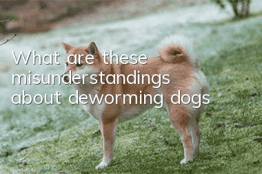 What are these misunderstandings about deworming dogs?