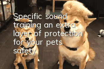 Specific sound training: an extra layer of protection for your pet’s safety