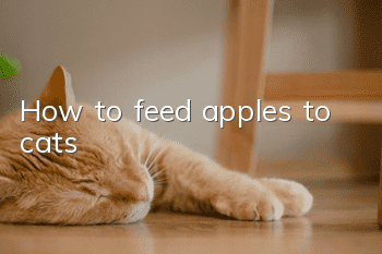 How to feed apples to cats