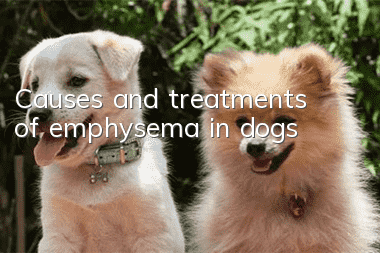 Causes and treatments of emphysema in dogs