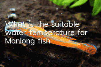 What is the suitable water temperature for Manlong fish?