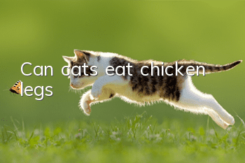 Can cats eat chicken legs?