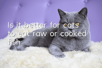 Is it better for cats to eat raw or cooked fish?