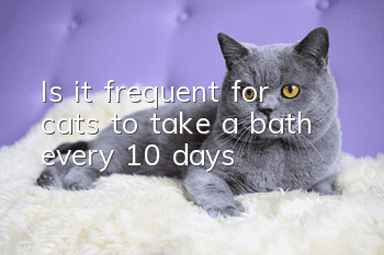 Is it frequent for cats to take a bath every 10 days?