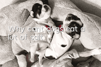 Why can’t dogs eat a lot of salt?