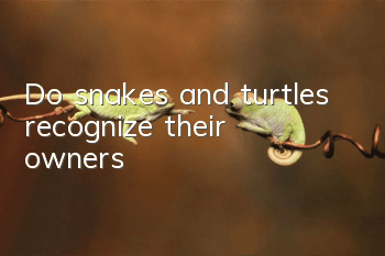 Do snakes and turtles recognize their owners?