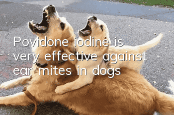 Povidone iodine is very effective against ear mites in dogs