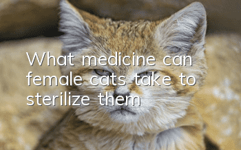 What medicine can female cats take to sterilize them?