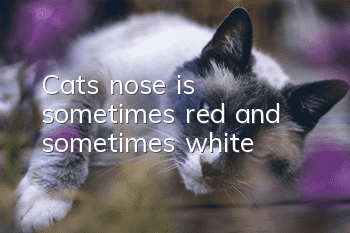 Cat’s nose is sometimes red and sometimes white