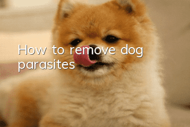 How to remove dog parasites