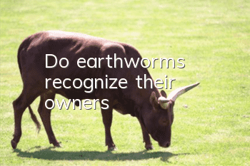 Do earthworms recognize their owners?