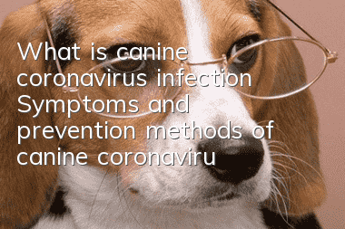 What is canine coronavirus infection? Symptoms and prevention methods of canine coronavirus infection