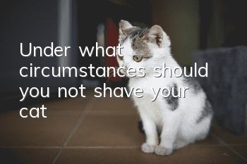 Under what circumstances should you not shave your cat?