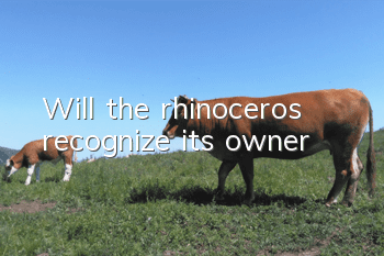 Will the rhinoceros recognize its owner?