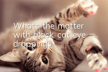 What’s the matter with black cat eye droppings?