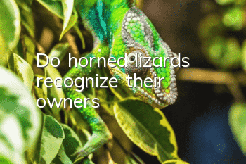 Do horned lizards recognize their owners?