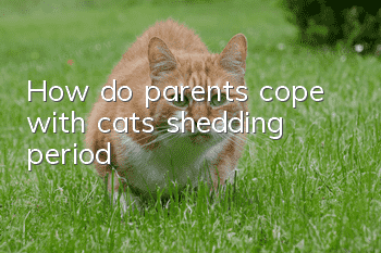 How do parents cope with cats’ shedding period?