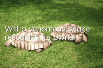 Will a venomous snake recognize its owner?