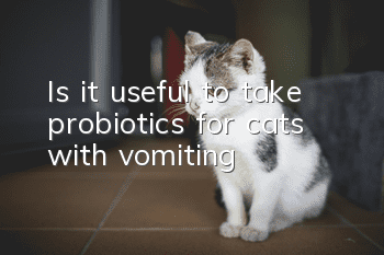 Is it useful to take probiotics for cats with vomiting?