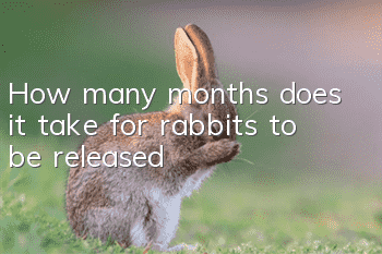 How many months does it take for rabbits to be released?