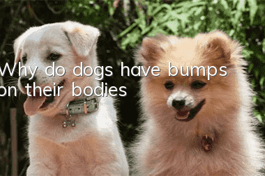 Why do dogs have bumps on their bodies?