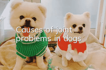 Causes of joint problems in dogs