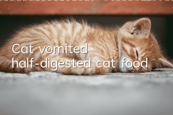 Cat vomited half-digested cat food