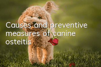 Causes and preventive measures of canine osteitis