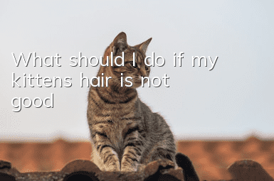 What should I do if my kitten’s hair is not good?