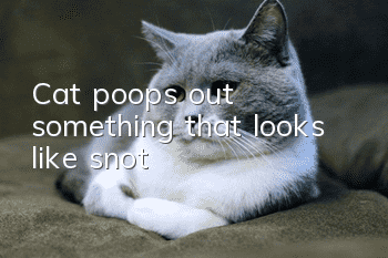 Cat poops out something that looks like snot