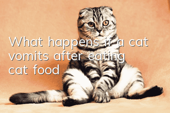 What happens if a cat vomits after eating cat food?