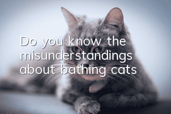 Do you know the misunderstandings about bathing cats?