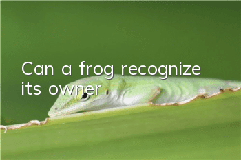 Can a frog recognize its owner?