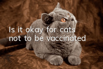 Is it okay for cats not to be vaccinated?