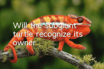 Will the subgiant turtle recognize its owner?