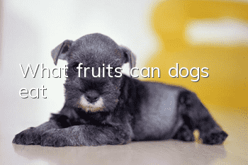 What fruits can dogs eat?