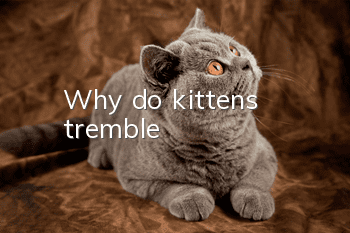 Why do kittens tremble?