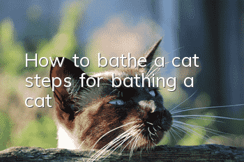 How to bathe a cat, steps for bathing a cat