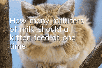 How many milliliters of milk should a kitten feed at one time?