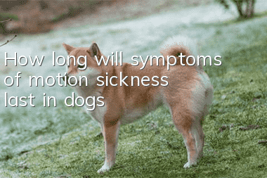 How long will symptoms of motion sickness last in dogs?