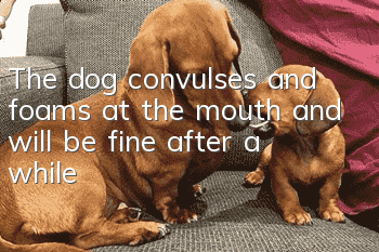 The dog convulses and foams at the mouth and will be fine after a while