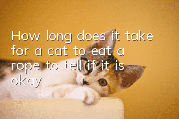 How long does it take for a cat to eat a rope to tell if it is okay?