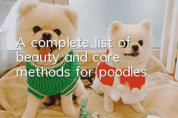 A complete list of beauty and care methods for poodles