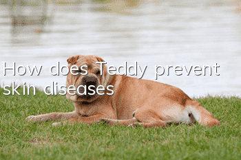 How does Teddy prevent skin diseases?